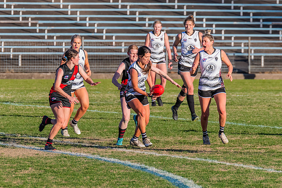 WPD Elimination Final - North Shore v Inner West - 7 August 2022