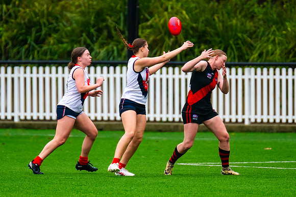 Rd 1 WPD - North Shore v Pennant Hills - 29 March 2025