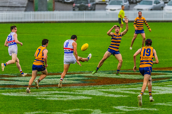 Rd 8 MPD - UNSW-ES v Sydney Uni - 1 June 2024
