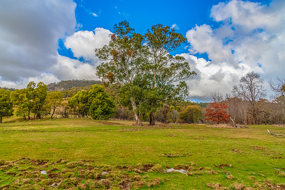 Winter landscape views around the Towac Valley near Orange