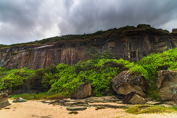 Rocky headland with greenery at the beach