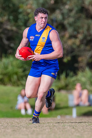 Black Diamond Plate Men's Nelson Bay v Newcastle City - 17 Septe