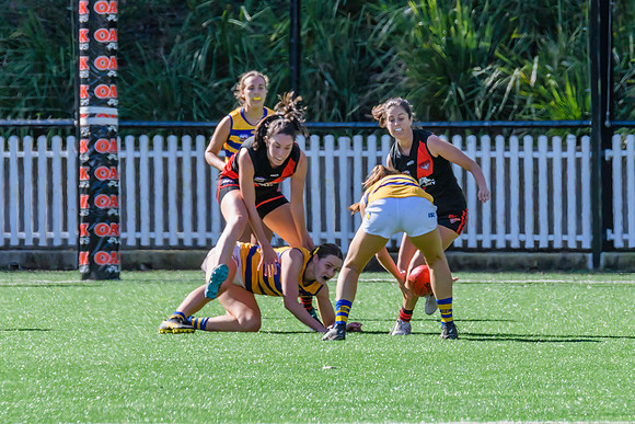 Rd 3 WPD - North Shore v Sydney Uni - 23 April 2022