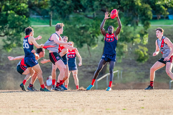 Rd 16 MPD - Pennant Hills v North Shore - 29 July 2023