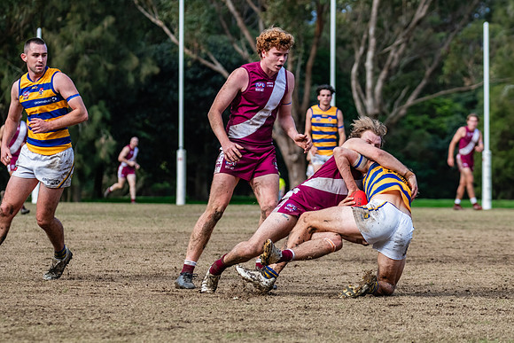 Rd 17 MPD - Manly Warringah v Sydney Uni - 16 August 2025