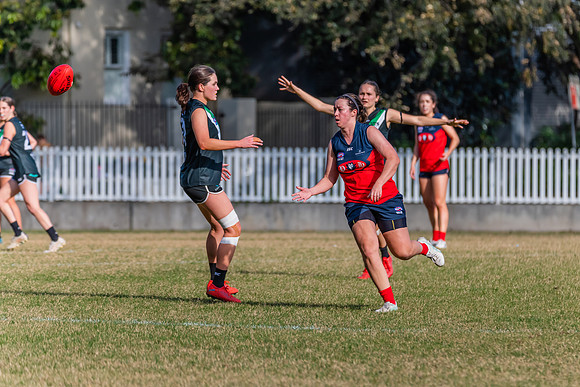 Rd 11 WPD - UTS v Pennant Hills - 25 June 2022