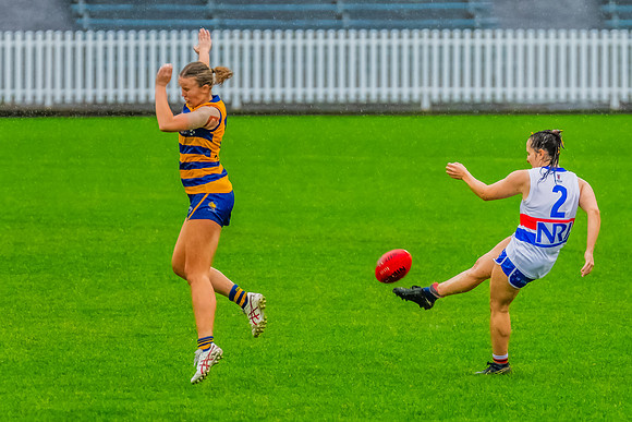 Rd 8 WPD - UNSW-ES v Sydney Uni - 1 June 2024