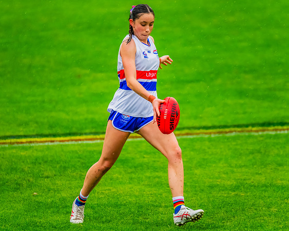 Rd 8 WPD - UNSW-ES v Sydney Uni - 1 June 2024