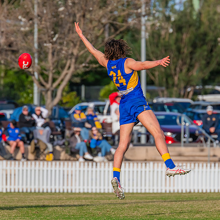 Rd 17 MPD - East Coast v St George - 17 August 2024