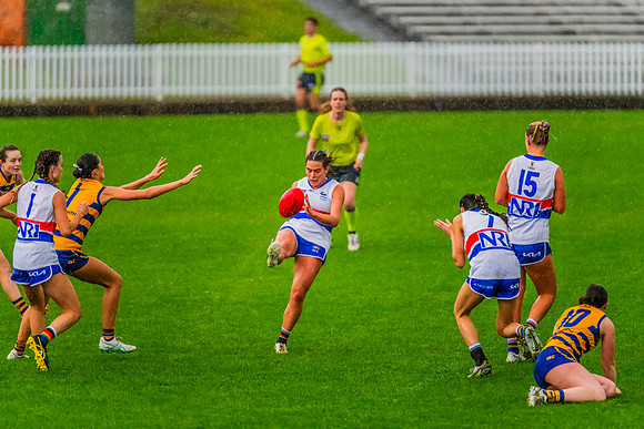 Rd 8 WPD - UNSW-ES v Sydney Uni - 1 June 2024