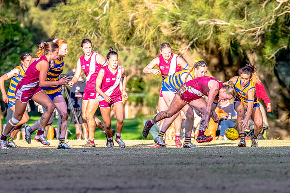 Rd 17 WPD - Manly Warringah v Sydney Uni - 16 August 2025