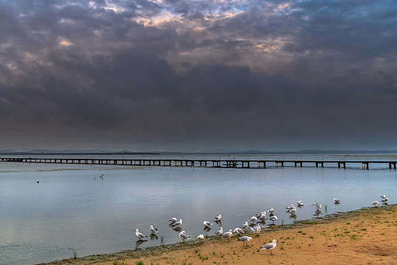 Rainy day sunrise waterscape with wharf