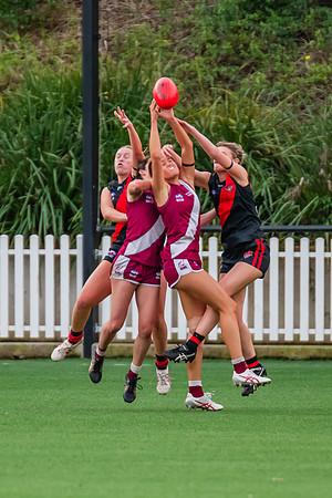 Rd 1 WPD - North Shore v Manly Warringah - 8 June 2024
