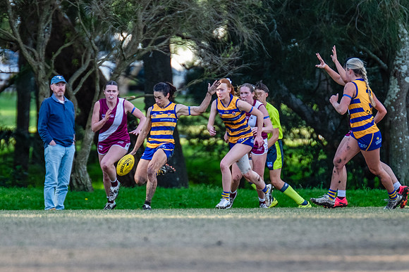 Rd 17 WPD - Manly Warringah v Sydney Uni - 16 August 2025