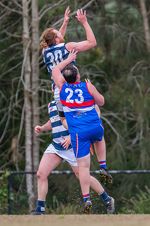 Black Diamond Shield Warners Bay v Muswellbrook - 17 September 2022