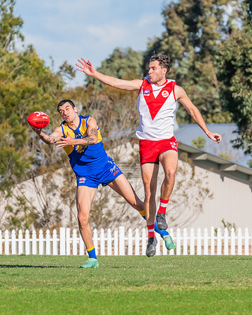 Rd 17 MPD - East Coast v St George - 17 August 2024