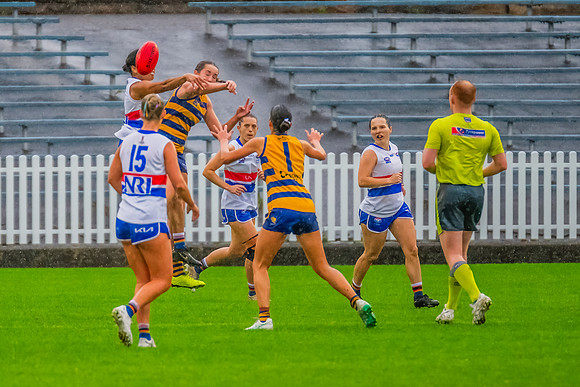 Rd 8 WPD - UNSW-ES v Sydney Uni - 1 June 2024