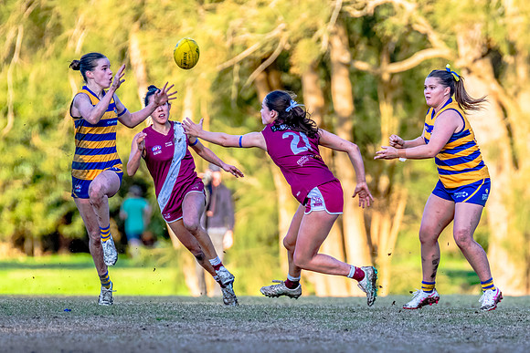 Rd 17 WPD - Manly Warringah v Sydney Uni - 16 August 2025