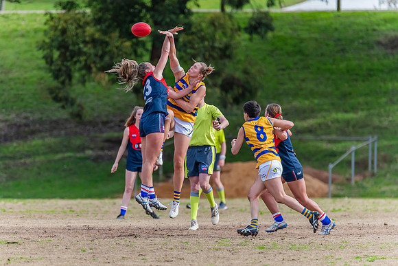 Rd 14 WPD - Pennant Hills v Sydney Uni - 16 July 2022