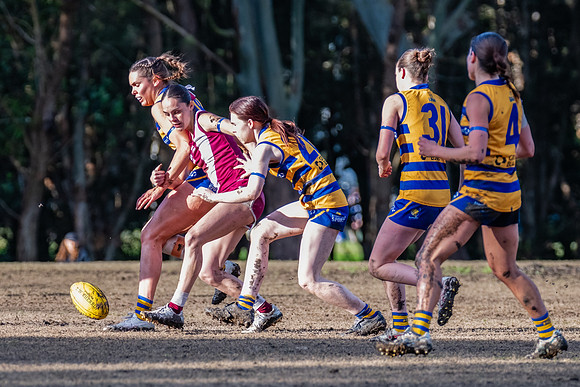 Rd 17 WPD - Manly Warringah v Sydney Uni - 16 August 2025