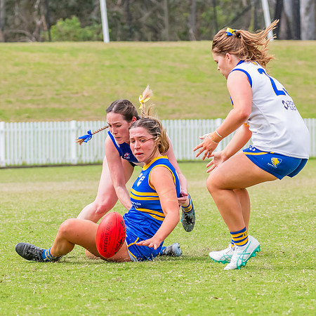 WPD Semi Final - Parramatta v Sydney Uni - 8 September 2024