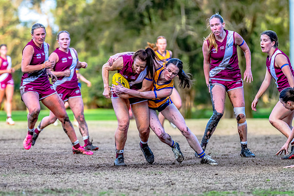 Rd 17 WPD - Manly Warringah v Sydney Uni - 16 August 2025