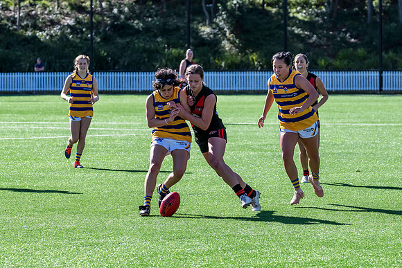Rd 3 WPD - North Shore v Sydney Uni - 23 April 2022