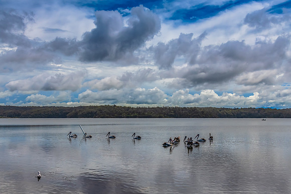 After the rain at Wallaga Lake