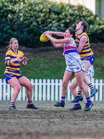 Rd 18 WPD - Sydney Uni v UNSW-ES - 12 Aug 2023