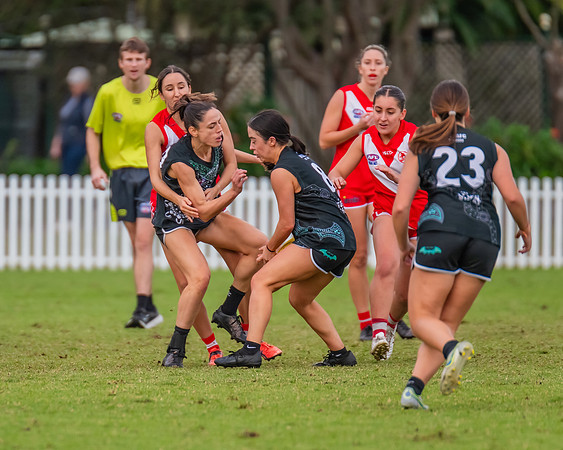 Rd 7 WPD - St George v UTS - 25 May 2024