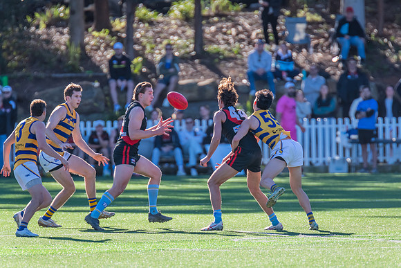 Rd 15 MPD - North Shore v Sydney Uni - 3 August 2024