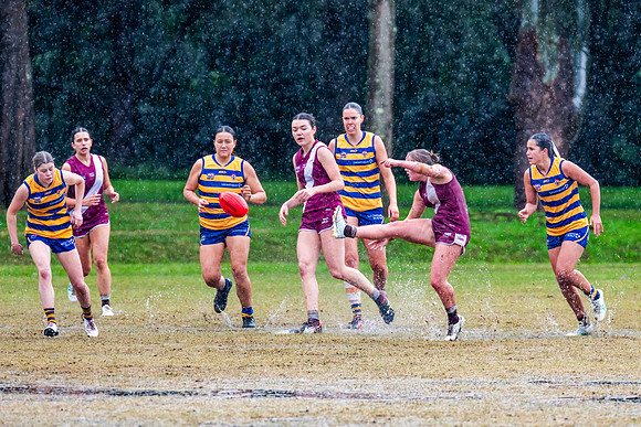 Rd 10 WPD - Manly Warringah v Sydney Uni - 22 June 2024