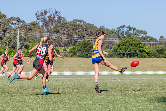 WPD Elimination Final - North Shore v Sydney Uni - 1 September 2