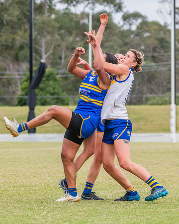 WPD Semi Final - Parramatta v Sydney Uni - 8 September 2024