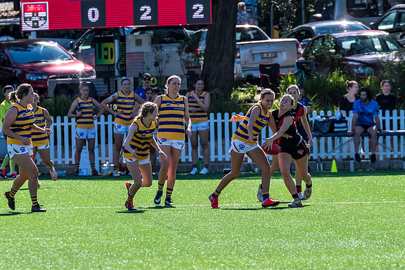 Rd 3 WPD - North Shore v Sydney Uni - 23 April 2022