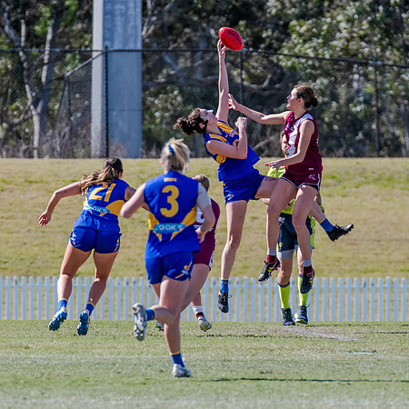 WPD Qualifying Final - East Coast v Manly-Warringah - 19 August 2023