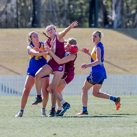WPD Qualifying Final - East Coast v Manly-Warringah - 19 August 2023