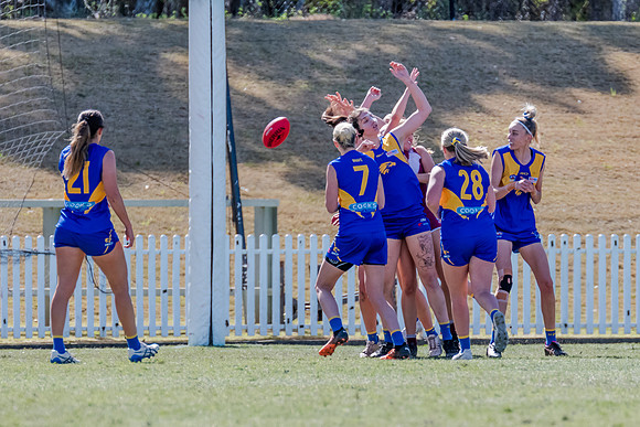 WPD Qualifying Final - East Coast v Manly-Warringah - 19 August 2023