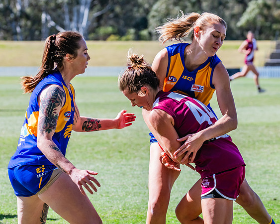 WPD Qualifying Final - East Coast v Manly-Warringah - 19 August 2023