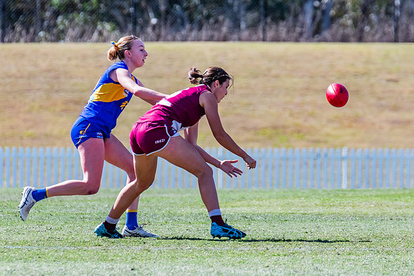 WPD Qualifying Final - East Coast v Manly-Warringah - 19 August 2023
