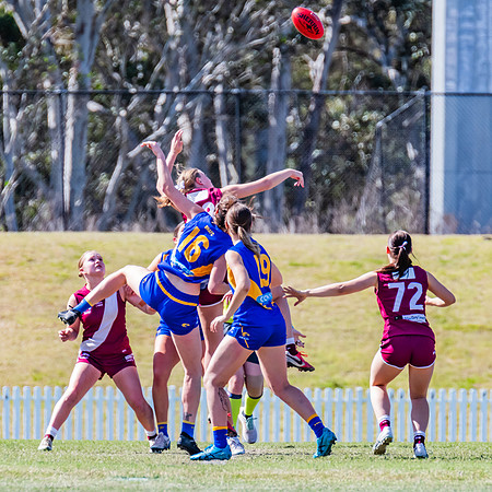 WPD Qualifying Final - East Coast v Manly-Warringah - 19 August 2023