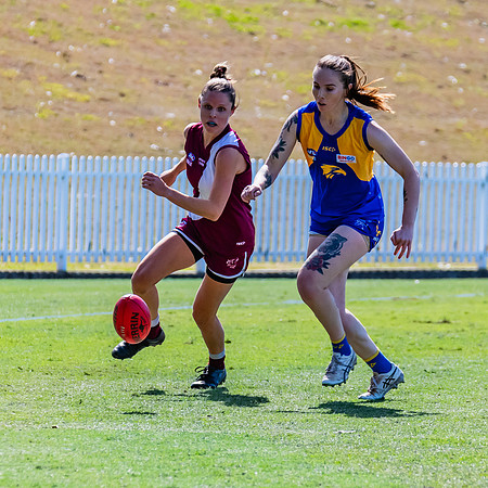 WPD Qualifying Final - East Coast v Manly-Warringah - 19 August 2023