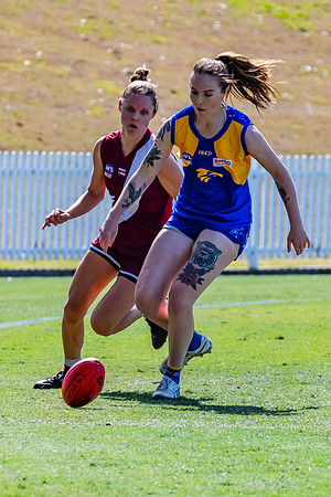 WPD Qualifying Final - East Coast v Manly-Warringah - 19 August 2023