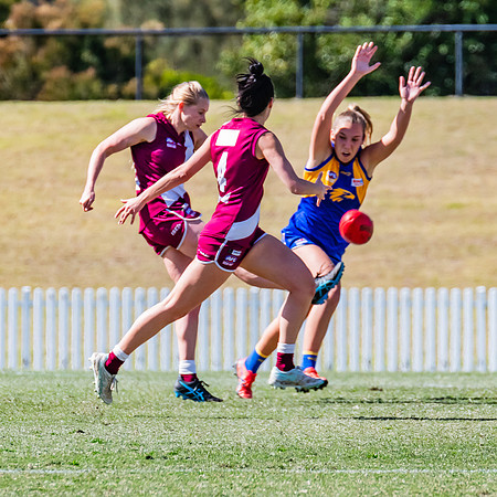 WPD Qualifying Final - East Coast v Manly-Warringah - 19 August 2023