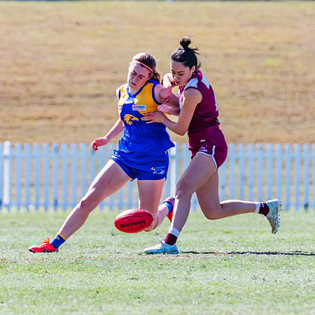WPD Qualifying Final - East Coast v Manly-Warringah - 19 August 2023