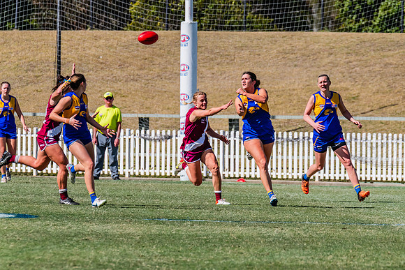 WPD Qualifying Final - East Coast v Manly-Warringah - 19 August 2023