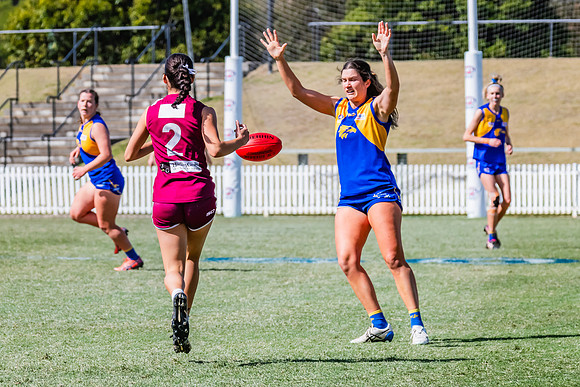 WPD Qualifying Final - East Coast v Manly-Warringah - 19 August 2023