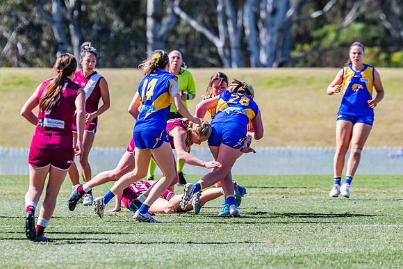WPD Qualifying Final - East Coast v Manly-Warringah - 19 August 2023