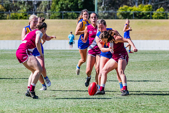 WPD Qualifying Final - East Coast v Manly-Warringah - 19 August 2023
