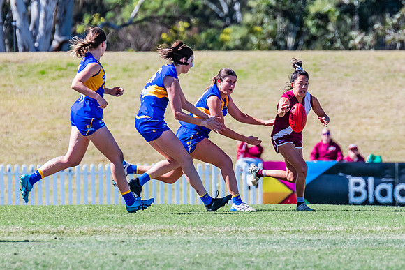 WPD Qualifying Final - East Coast v Manly-Warringah - 19 August 2023